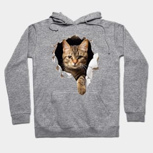 Cathole! (just an expression) Hoodie